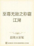 至尊无敌之称霸江湖