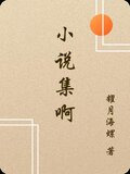 小说集啊