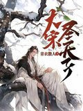 大宋圣天子