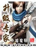 升级专家