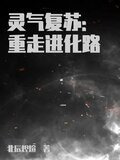 终极进化路