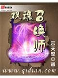 双魂召唤师
