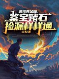 透视黄金瞳：鉴宝赌石捡漏样样通