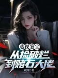 透视神瞳：从捡漏开始暴富