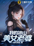 我的冰山美女老婆